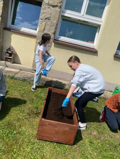 Zdjęcie WhatsApp 2025-06-04 o 19.41.13_f482803c.jpg