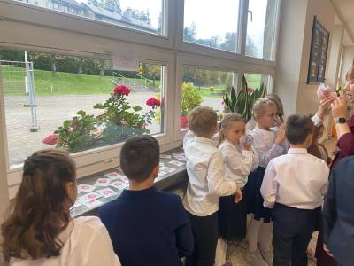 Zdjęcie WhatsApp 2025-10-14 o 18.19.02_1fef0149.jpg