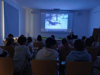 Uczniowie oglądają film o wilkach.