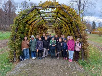 Uczniowie stoją na tle pergoli utworzonej z grabów.