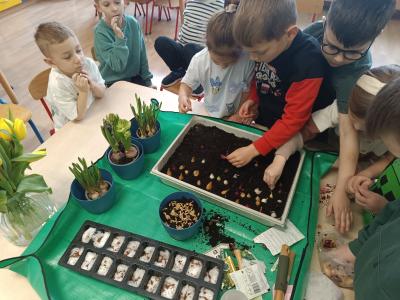 Dzieci sadzą cebulę.