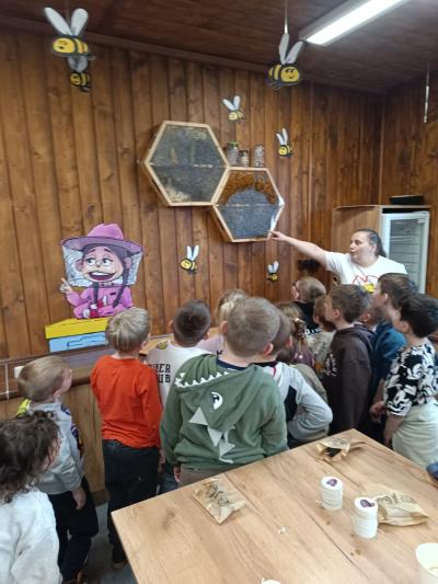Przedszkolaki oglądają prawdziwe pszczoły.