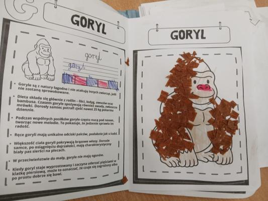 Karty z rysunkiem goryla i zadaniami.